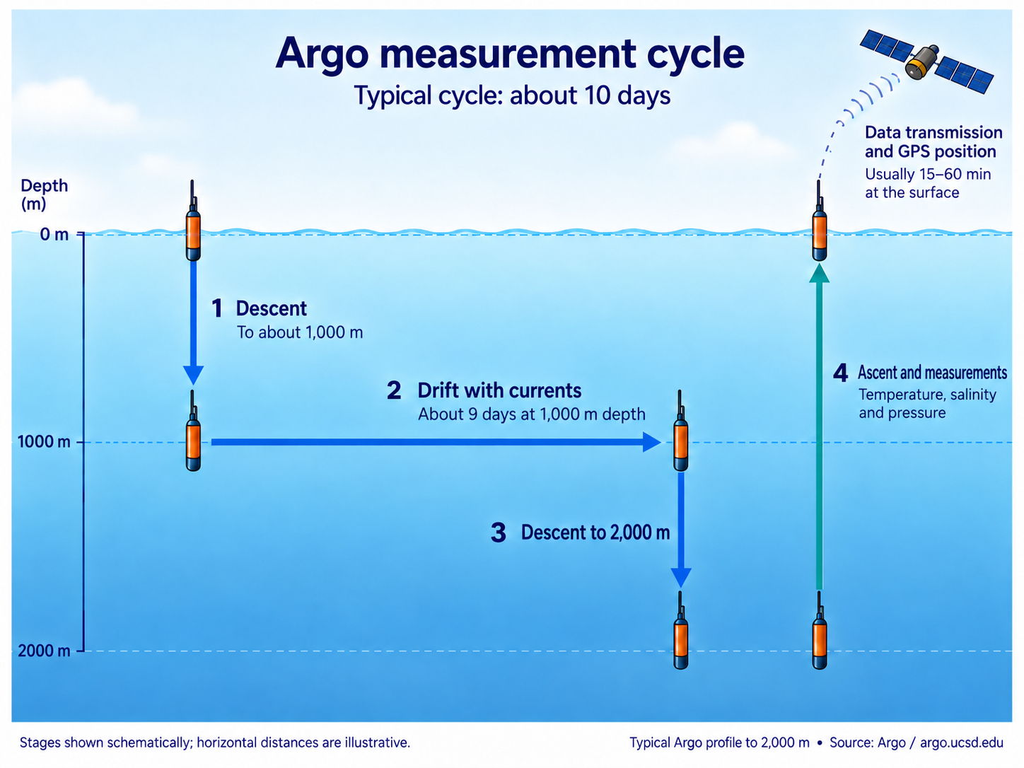 Argo float cycle: drifting at about 1,000 metres, descending to about 2,000 metres, profiling temperature and salinity while rising, and transmitting data at the surface.