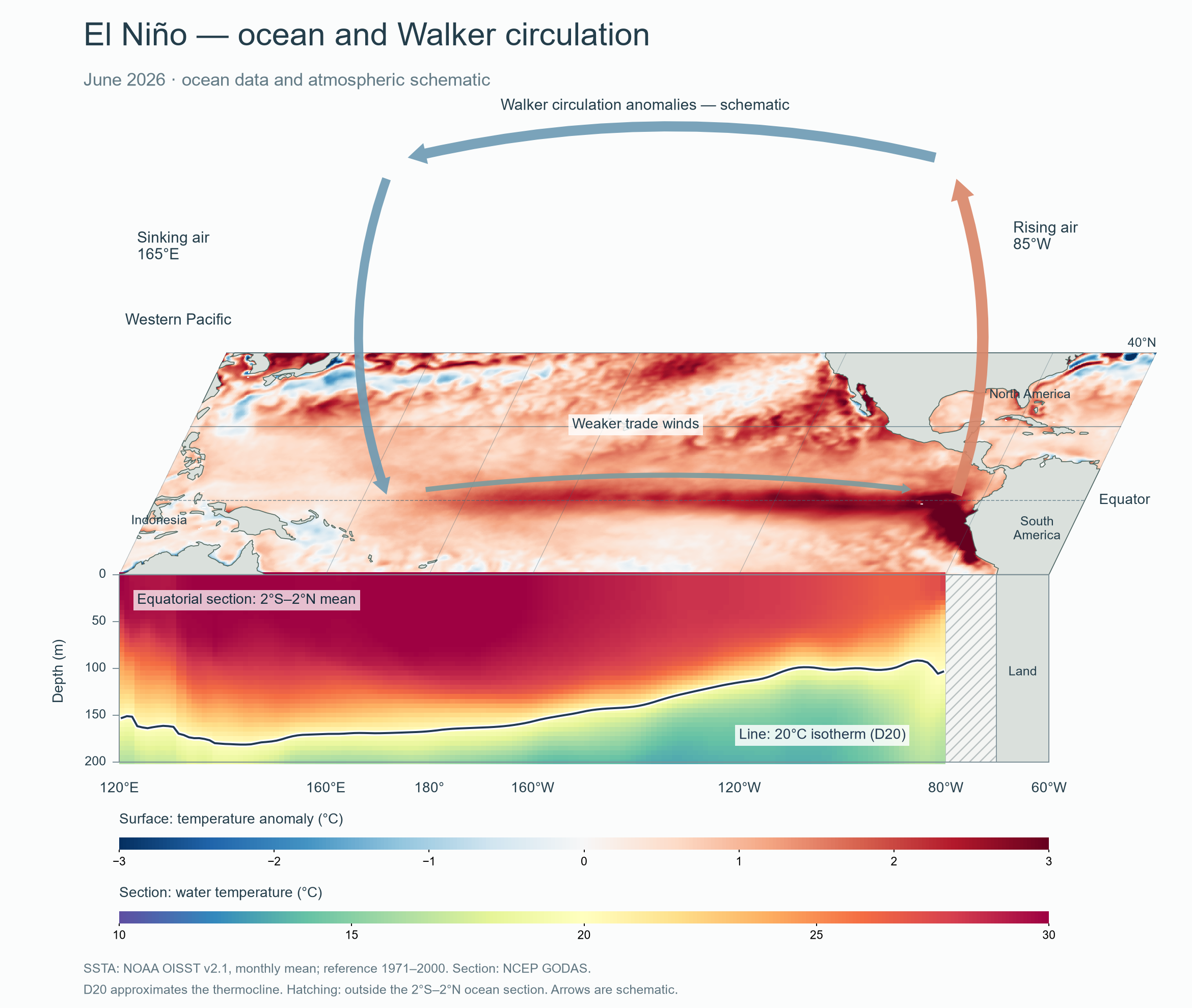 El Niño, June 2026: sea-surface-temperature anomalies, equatorial ocean temperature section and 20°C isotherm, with schematic Walker circulation.